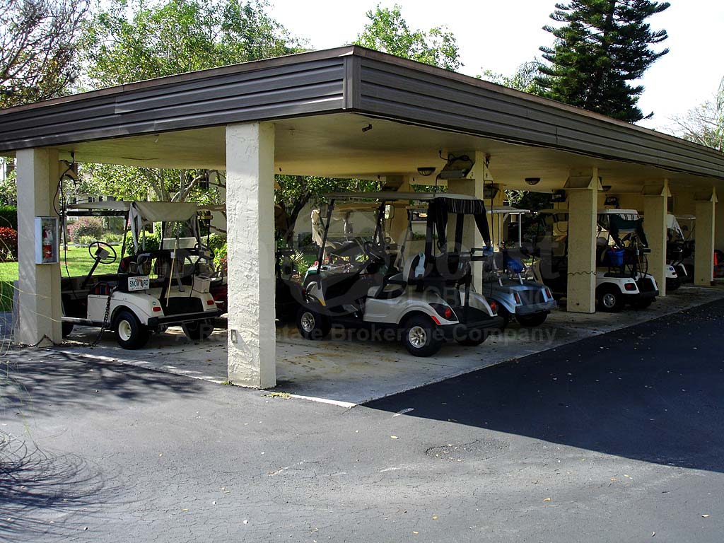 Greenbriar Village Golf Carts